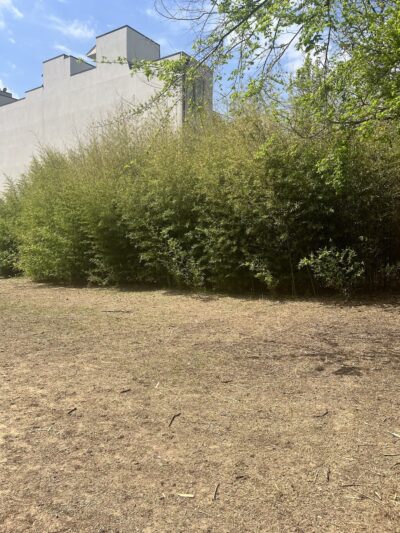 Uptown dog park - Dallas, TX