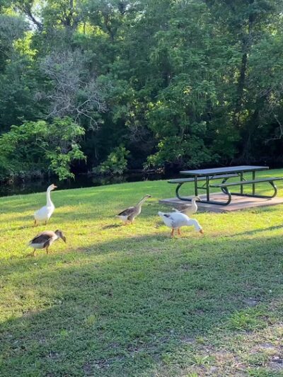 White Rock Lake Park - Dallas, TX