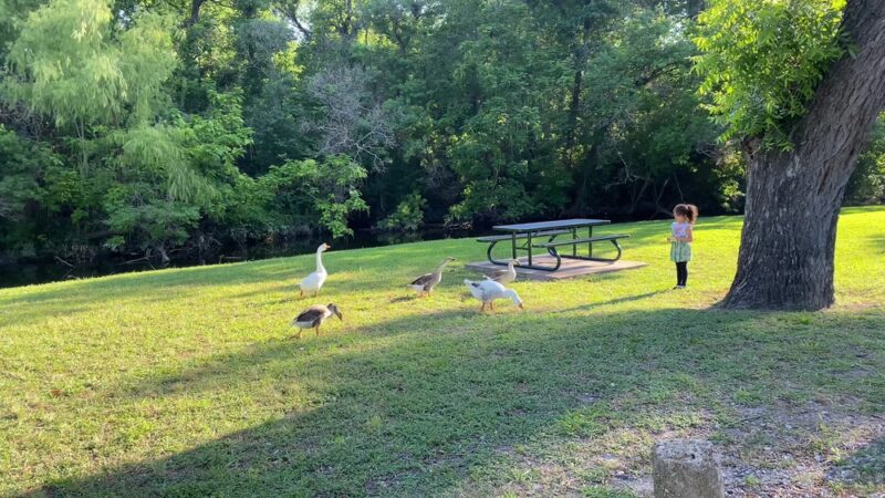 White Rock Lake Park - Dallas, TX