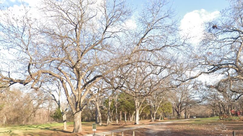 Wonderview Park - Dallas, TX