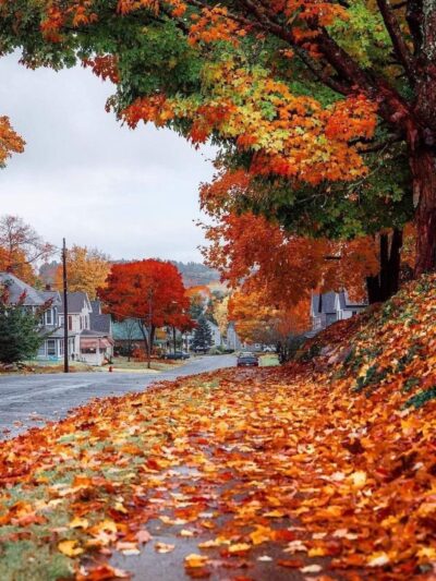 Dalton - Dalton, MA