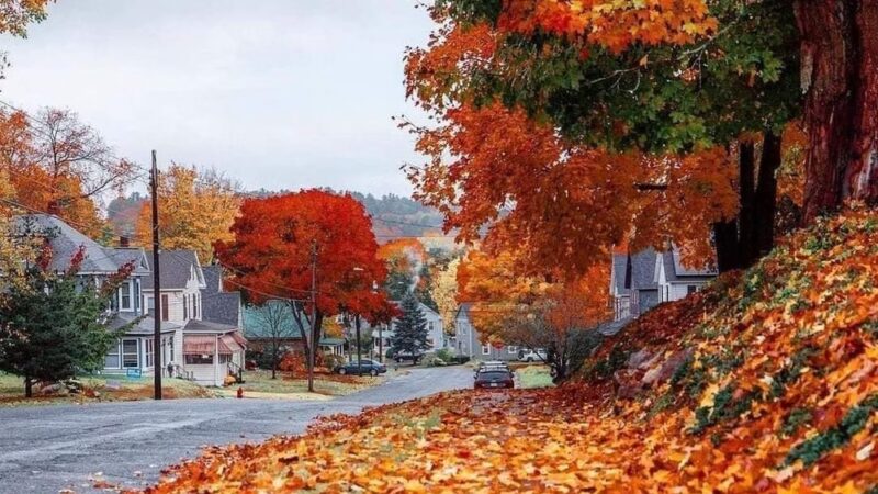 Dalton - Dalton, MA