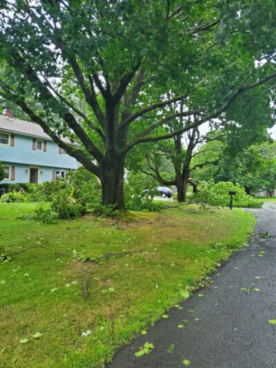 Dalton - Dalton, MA