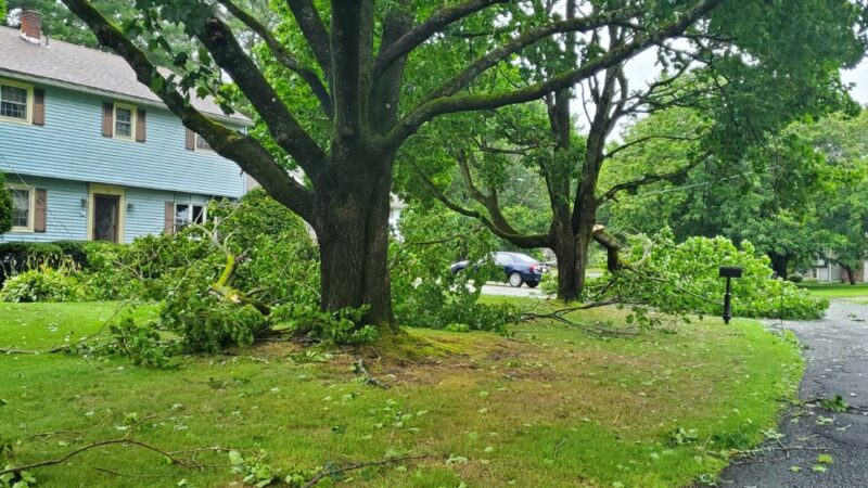 Dalton - Dalton, MA
