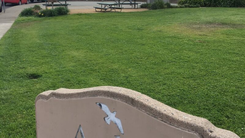 Arden Park - Daly City, CA