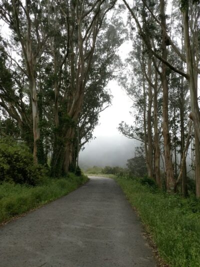 Crocker Gate Trailhead - Daly City, CA