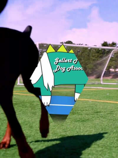 Gellert Park - Daly City, CA