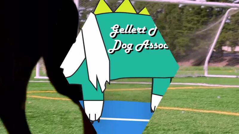 Gellert Park - Daly City, CA