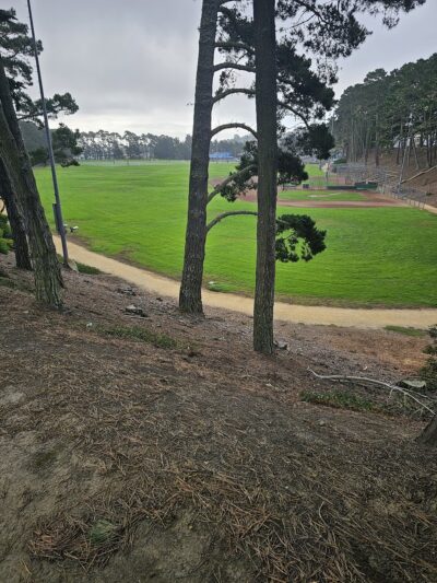 Gellert Park - Daly City, CA