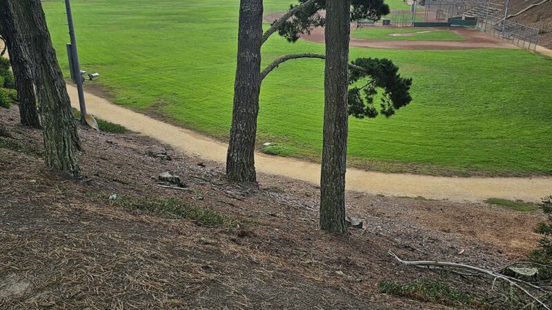 Gellert Park - Daly City, CA