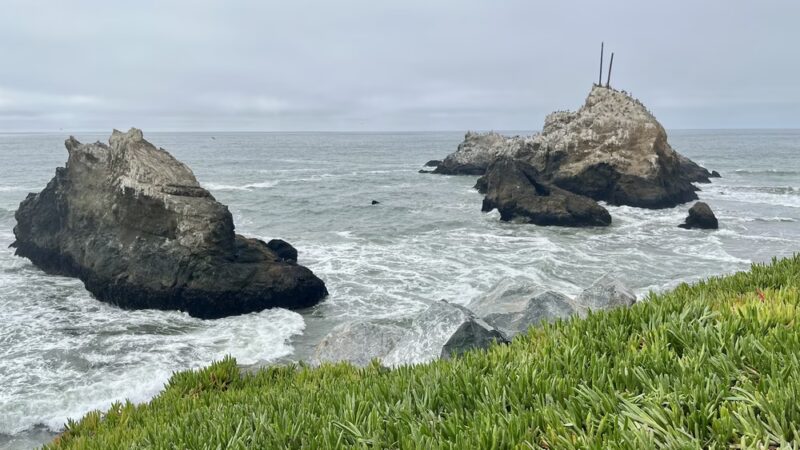 Mussel Rock - Daly City, CA