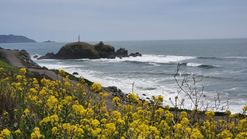 Mussel Rock - Daly City, CA