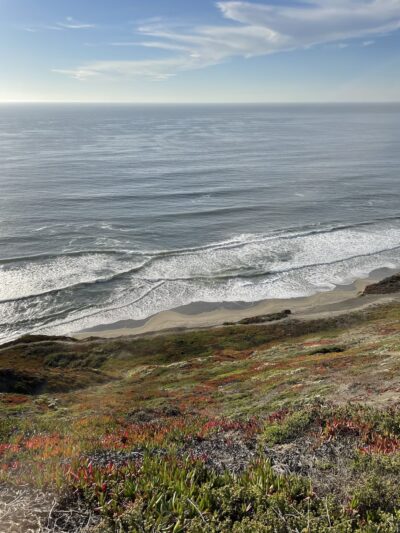 Palisades Park - Daly City, CA