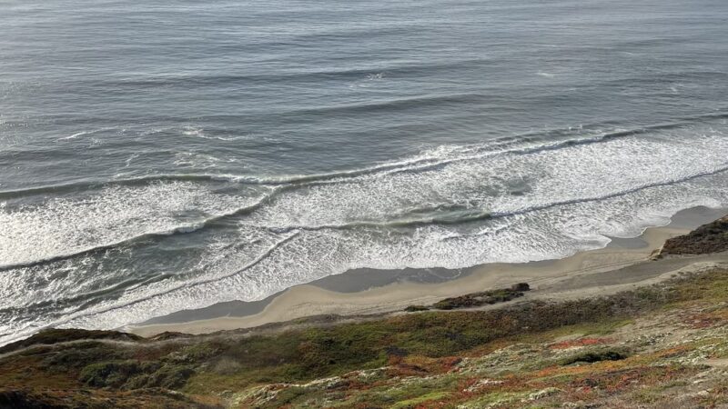 Palisades Park - Daly City, CA