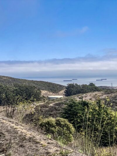 Summit Loop Trail, San Bruno Mountain - Daly City, CA