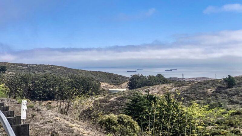Summit Loop Trail, San Bruno Mountain - Daly City, CA