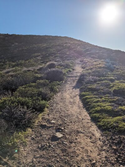 Summit Loop Trail, San Bruno Mountain - Daly City, CA