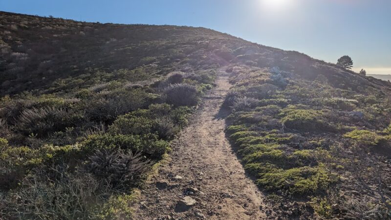 Summit Loop Trail, San Bruno Mountain - Daly City, CA