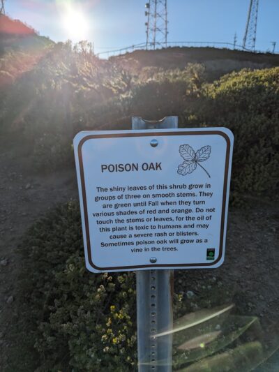 Summit Loop Trail, San Bruno Mountain - Daly City, CA