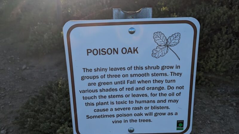 Summit Loop Trail, San Bruno Mountain - Daly City, CA