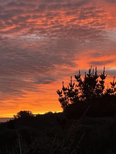 Summit Loop Trail, San Bruno Mountain - Daly City, CA