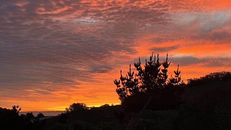 Summit Loop Trail, San Bruno Mountain - Daly City, CA