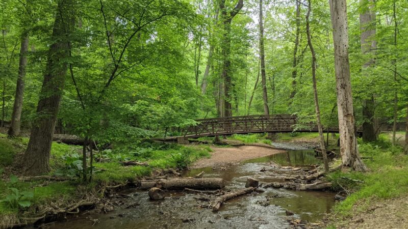 Magruder Branch Trail - Damascus, MD