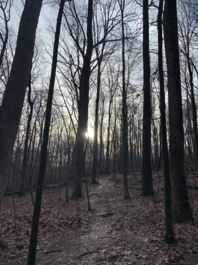 Magruder Branch Trail - Damascus, MD