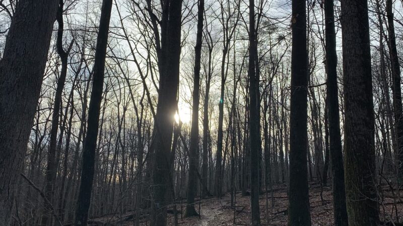 Magruder Branch Trail - Damascus, MD