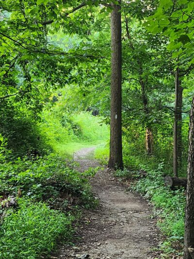 Oak Ridge Conservation Park Trailhead - Damascus, MD