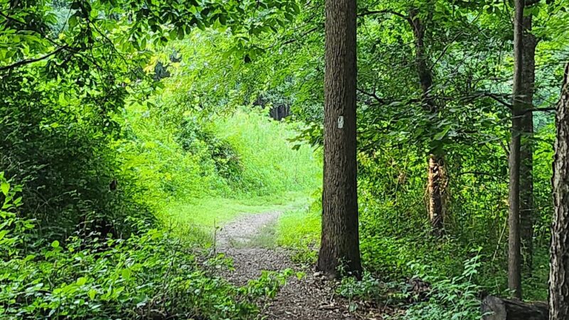 Oak Ridge Conservation Park Trailhead - Damascus, MD
