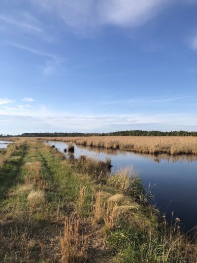 Deal Island State Wildlife Management Area - Dames Quarter, MD