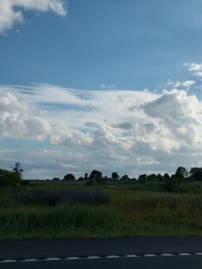 Deal Island State Wildlife Management Area - Dames Quarter, MD