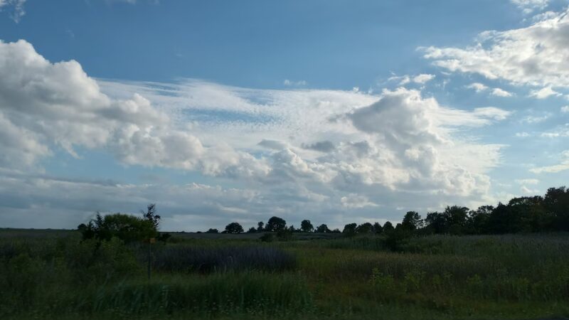 Deal Island State Wildlife Management Area - Dames Quarter, MD