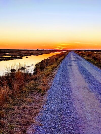 Deal Island State Wildlife Management Area - Dames Quarter, MD