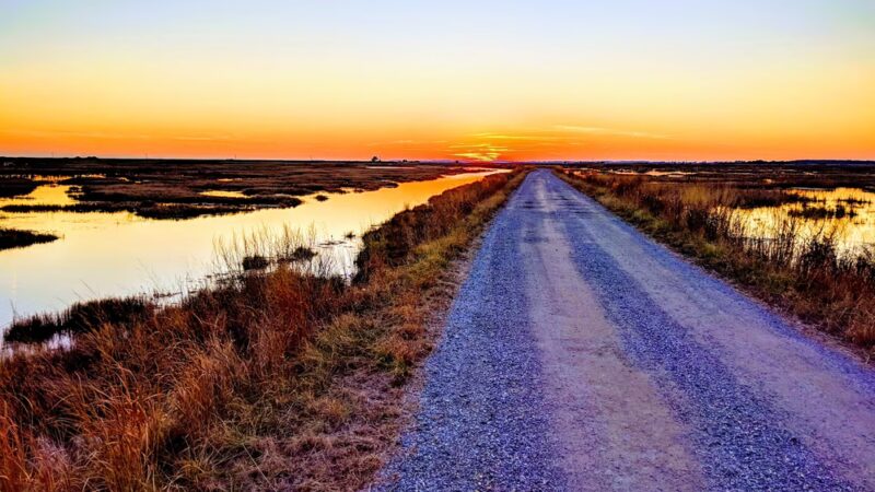 Deal Island State Wildlife Management Area - Dames Quarter, MD