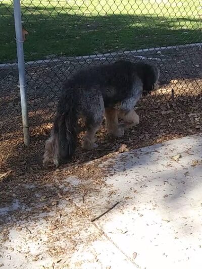 Creekside Park - Dana Point, CA