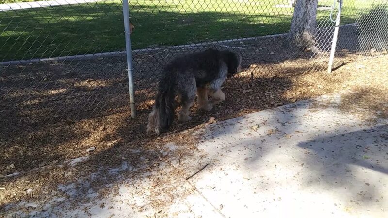 Creekside Park - Dana Point, CA