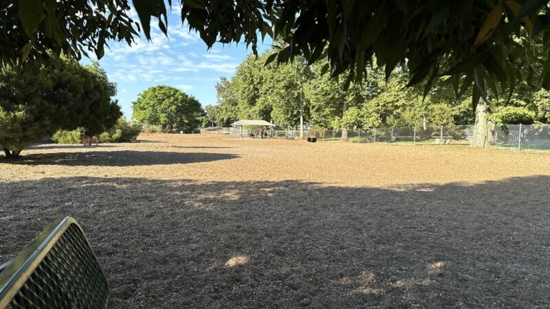 Creekside Park - Dana Point, CA