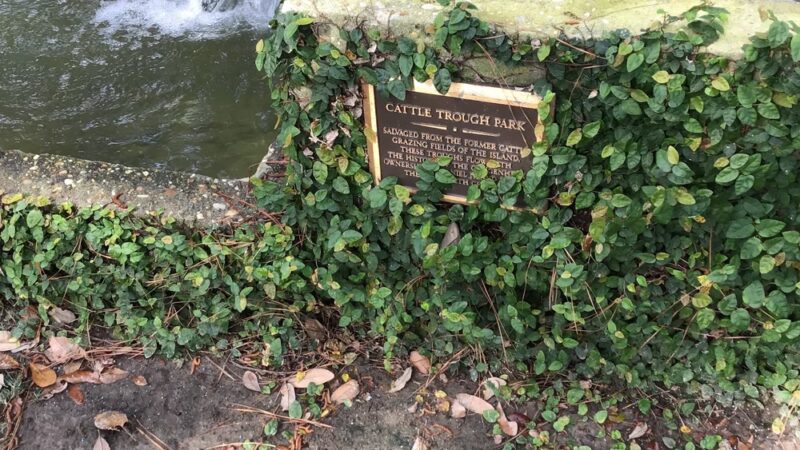 Iron Bottom Park - Daniel Island, SC