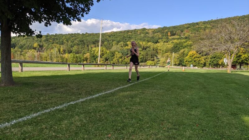Babcock Park - Dansville, NY