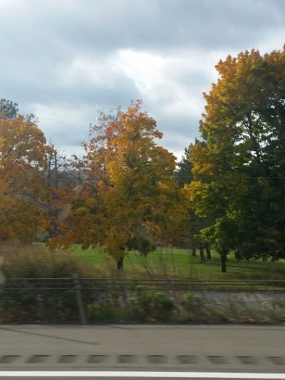 Frontage Park - Dansville, NY