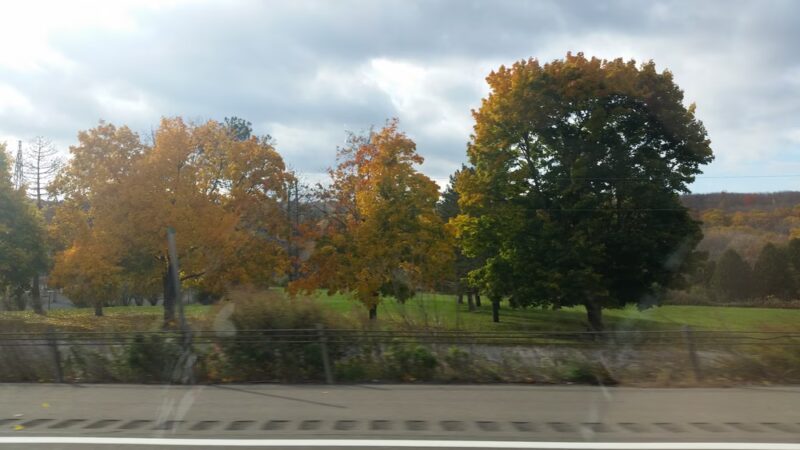 Frontage Park - Dansville, NY