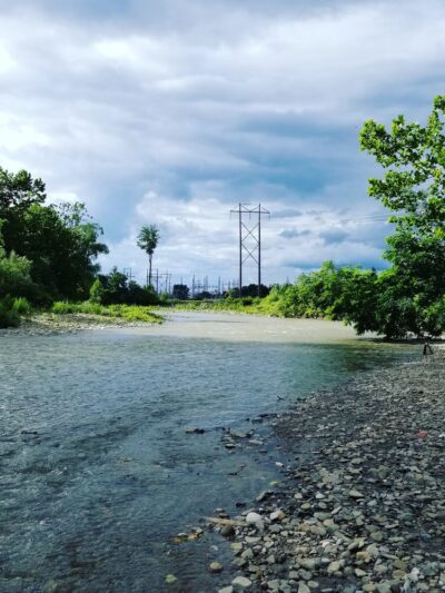 Frontage Park - Dansville, NY