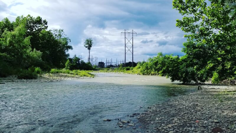 Frontage Park - Dansville, NY