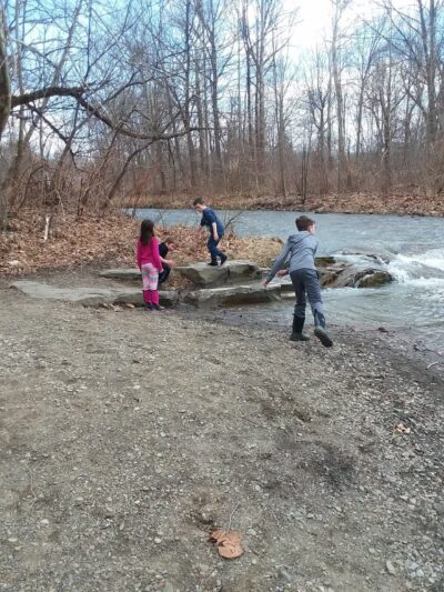 Girl Scout Park - Dansville, NY