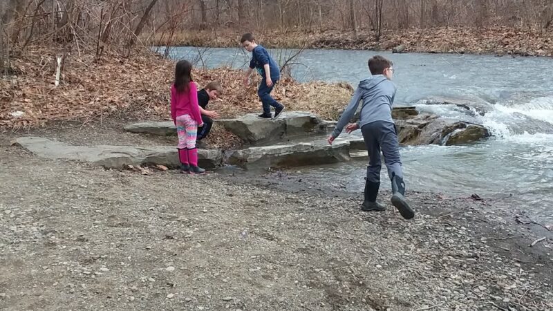 Girl Scout Park - Dansville, NY