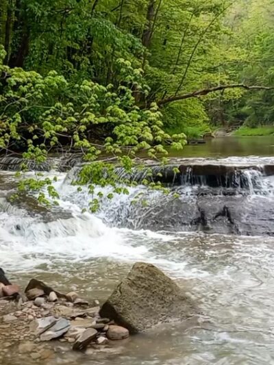 Keshequa Creek Falls Trailhead - Dansville, NY
