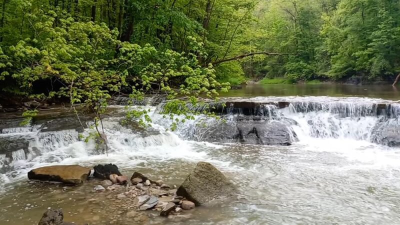 Keshequa Creek Falls Trailhead - Dansville, NY