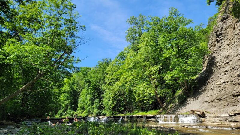 Keshequa Creek Falls Trailhead - Dansville, NY